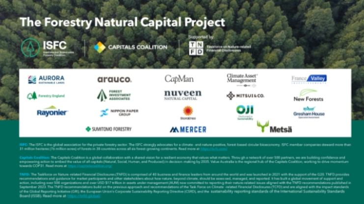 Release of the Global Forestry Natural Capital Report