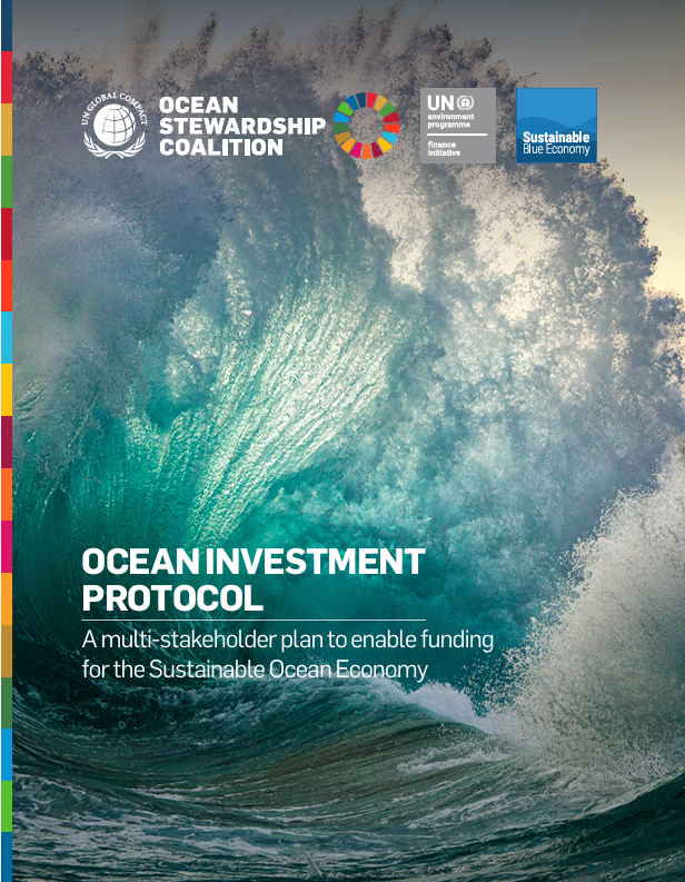 Ocean Investment Protocol: A multi-stakeholder plan to enable funding for the Sustainable Ocean Economy