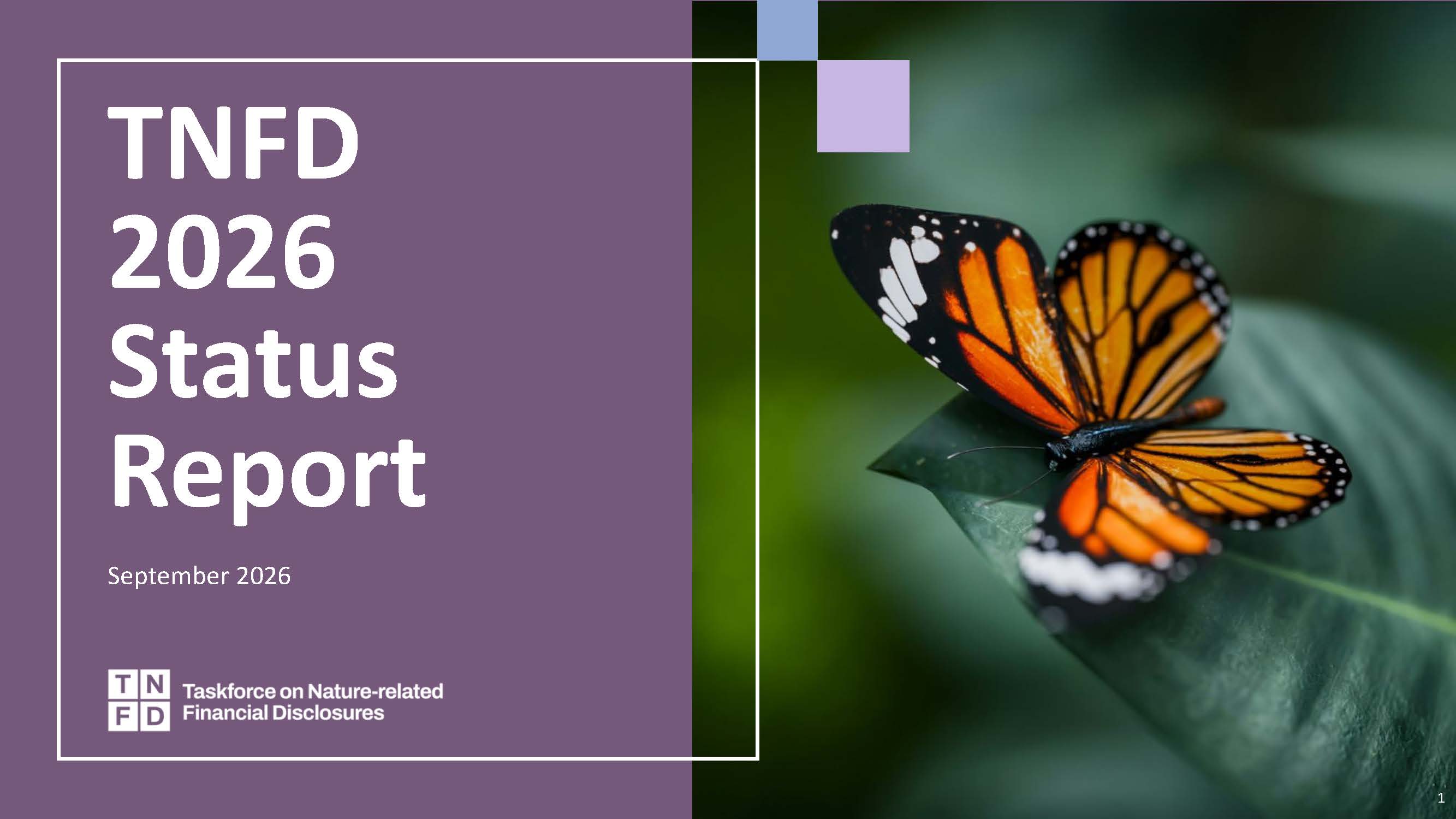 TNFD Status Report 2026